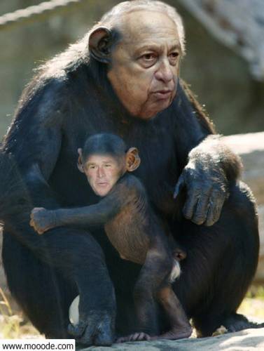 shaaron     et   buch